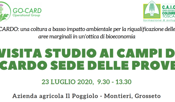 Il 23 luglio scendiamo in campo!