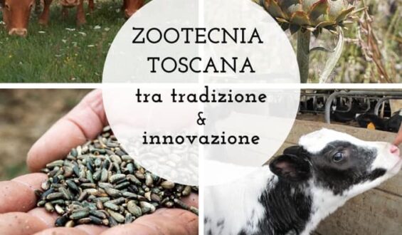 Webinar su “Zootecnia toscana. Tra tradizione e innovazione”
