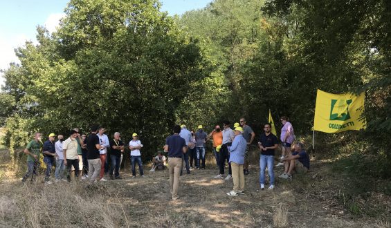 Gli imprenditori agricoli in visita ai campi di cardo