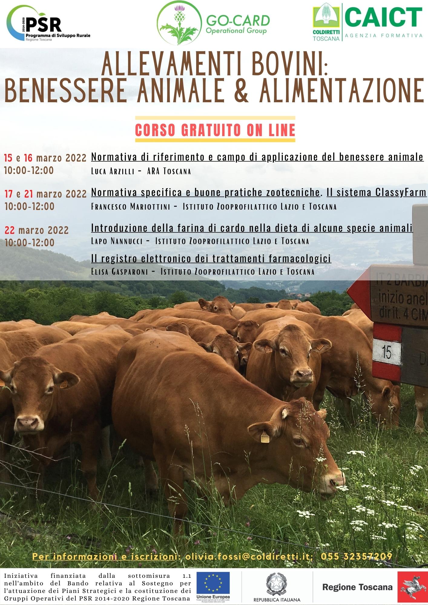 Corso online su benessere e alimentazione bovina