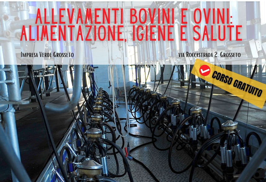 12-15 luglio, Grosseto: corso gratuito su “Allevamenti bovini e ovini: alimentazione, igiene, salute”